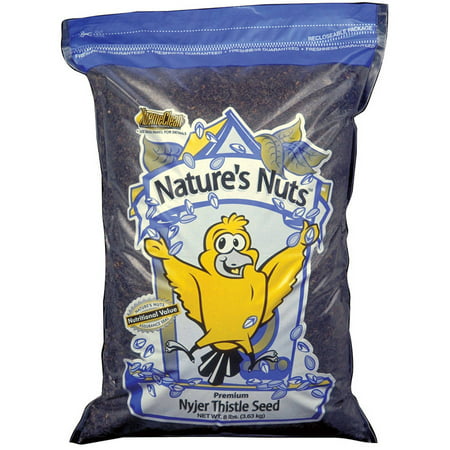Nature's Nuts Premium Nyjer Thistle Seed, 50 lbs (Thistle Bird Seed Best Price)