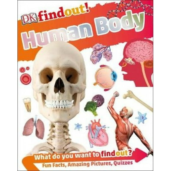 DKfindout! Human Body (DKfindout!)
