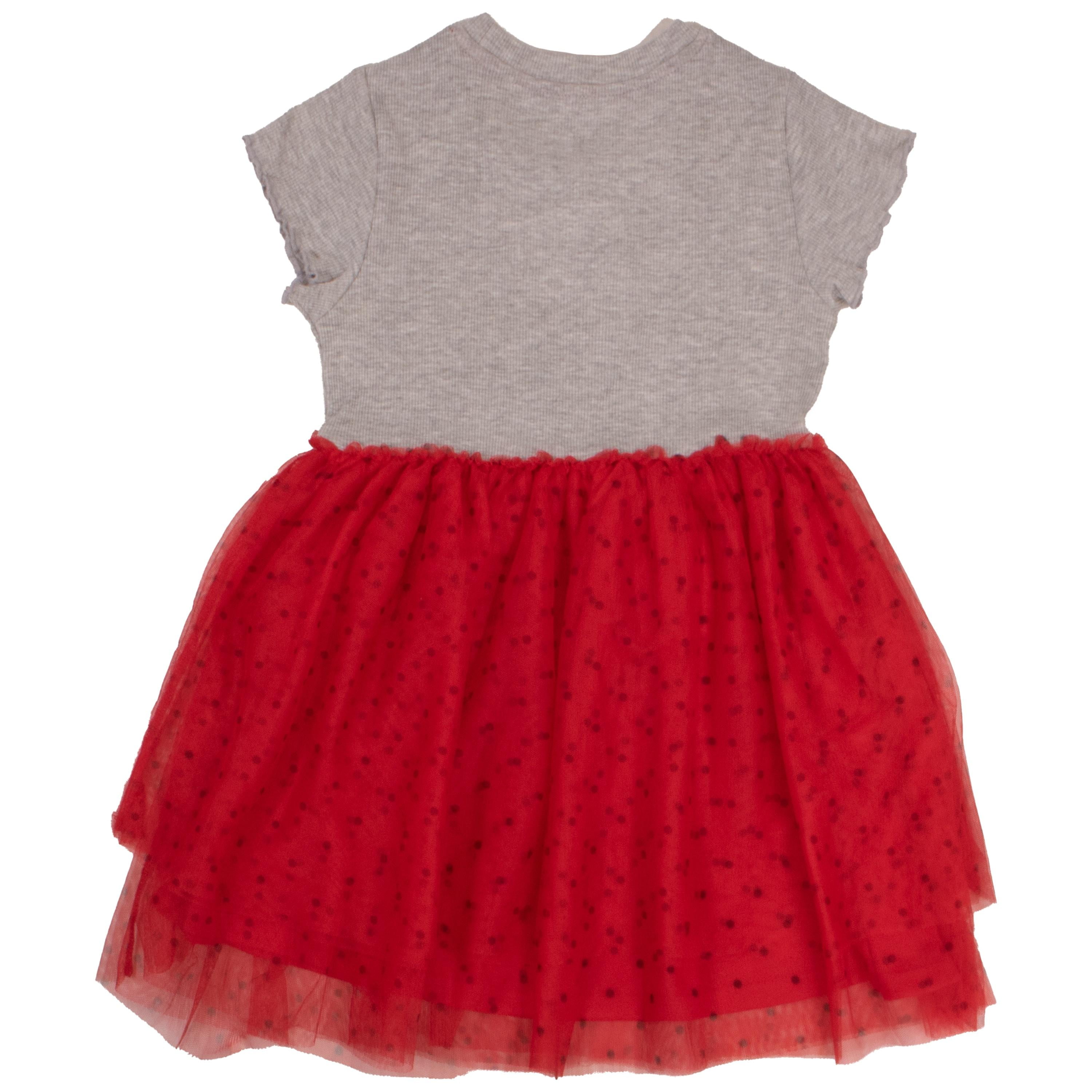 Disney Princesses and Minnie Mouse Girls Tutu Dress Princesses Moana Rapunzel Jasmine Double Ruffle Dress for Girls (Size 4-16)