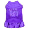 thumbnail image 6 of Pet Dog  Cat Dress Screen Printed, "Every Bunny Loves Me", 6 of 11