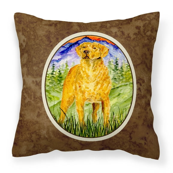 Carolines Treasures SS8449PW1414 Chesapeake Bay Retriever Fabric Decorative Pillow, 14Hx14W, multicolor
