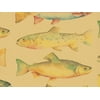Pack of 1, Rainbow Trout 26" x 417' Half Ream Roll Gift Wrap for Holiday, Party, Kids' Birthday, Wedding & Special Occasion Packaging