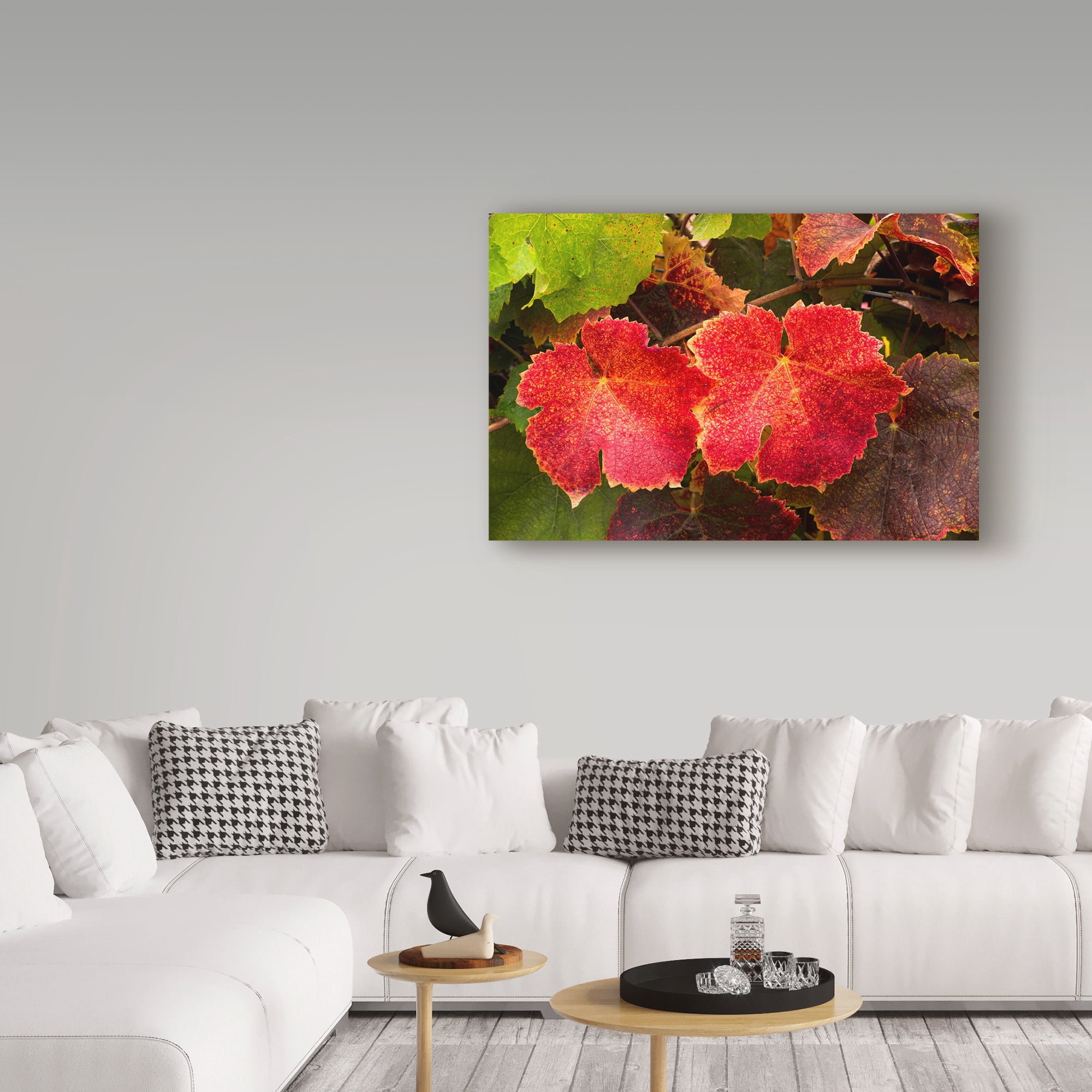 Trademark Fine Art 'Autumn Leaves' Canvas Art by Lance Kuehne