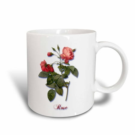 Botanical Cup - 3dRose Dark Pink English Rose and Rosebuds Botanical Print, Ceramic Mug, 11-ounce