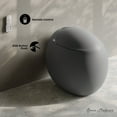 thumbnail image 3 of Plaisir Smart One-Piece 1.28 GPF Single Flush Toilet in Matte Gray, 3 of 10