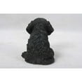 thumbnail image 2 of Hi-Line Gift Ltd Sitting Cockapoo Puppy Statue, 2 of 4
