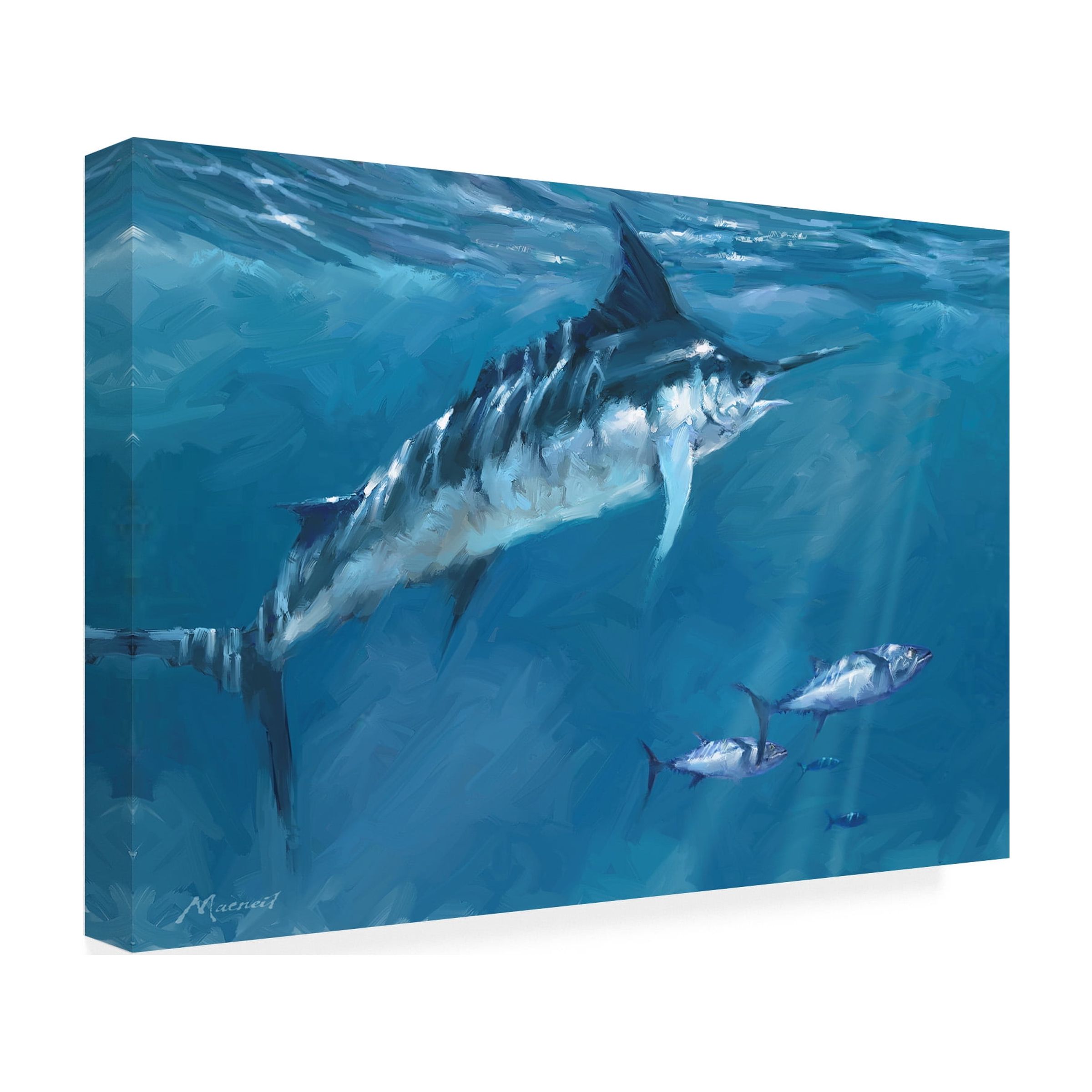 Trademark Fine Art The Macneil Studio 0650 Marlin Canvas Wall Art - 30x47