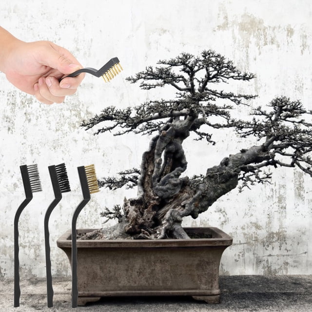Rust-propon-Inpop-No Deslizan Bonsai Cepillo de Limpieza de Alambre de Cepillo para la Herramiente de Limpieza de Jardín de Cepillo Herramienta de Limpieza Burrii Bonsai