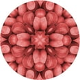 thumbnail image 1 of Ahgly Company Machine Washable Indoor Round Transitional Red Area Rugs, 8' Round, 1 of 7