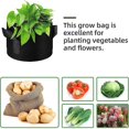 thumbnail image 4 of Bolsas de siembra no tejidas, paquete de 12 para papas, plantas y tomates, 4 of 5