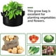 thumbnail image 4 of Bolsas de siembra no tejidas, paquete de 12 para papas, plantas y tomates, 4 of 5