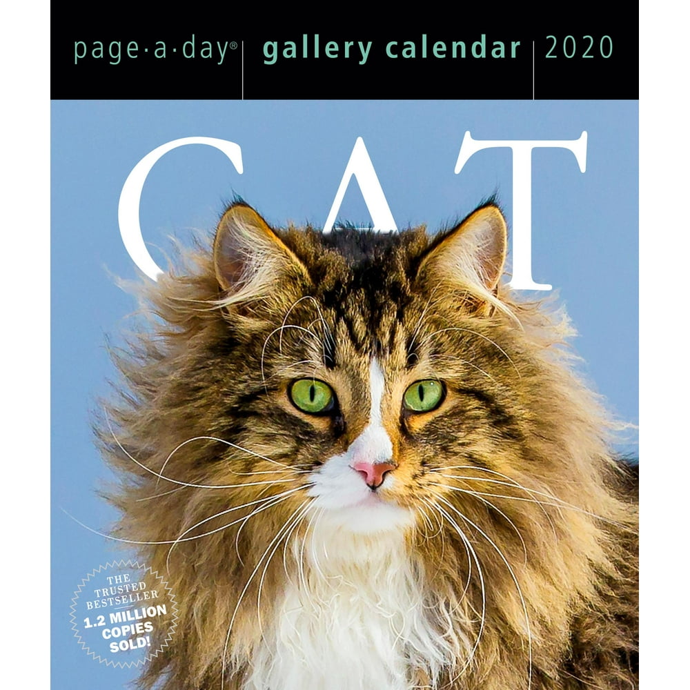 Cat PageADay Gallery Calendar 2020 (Other)