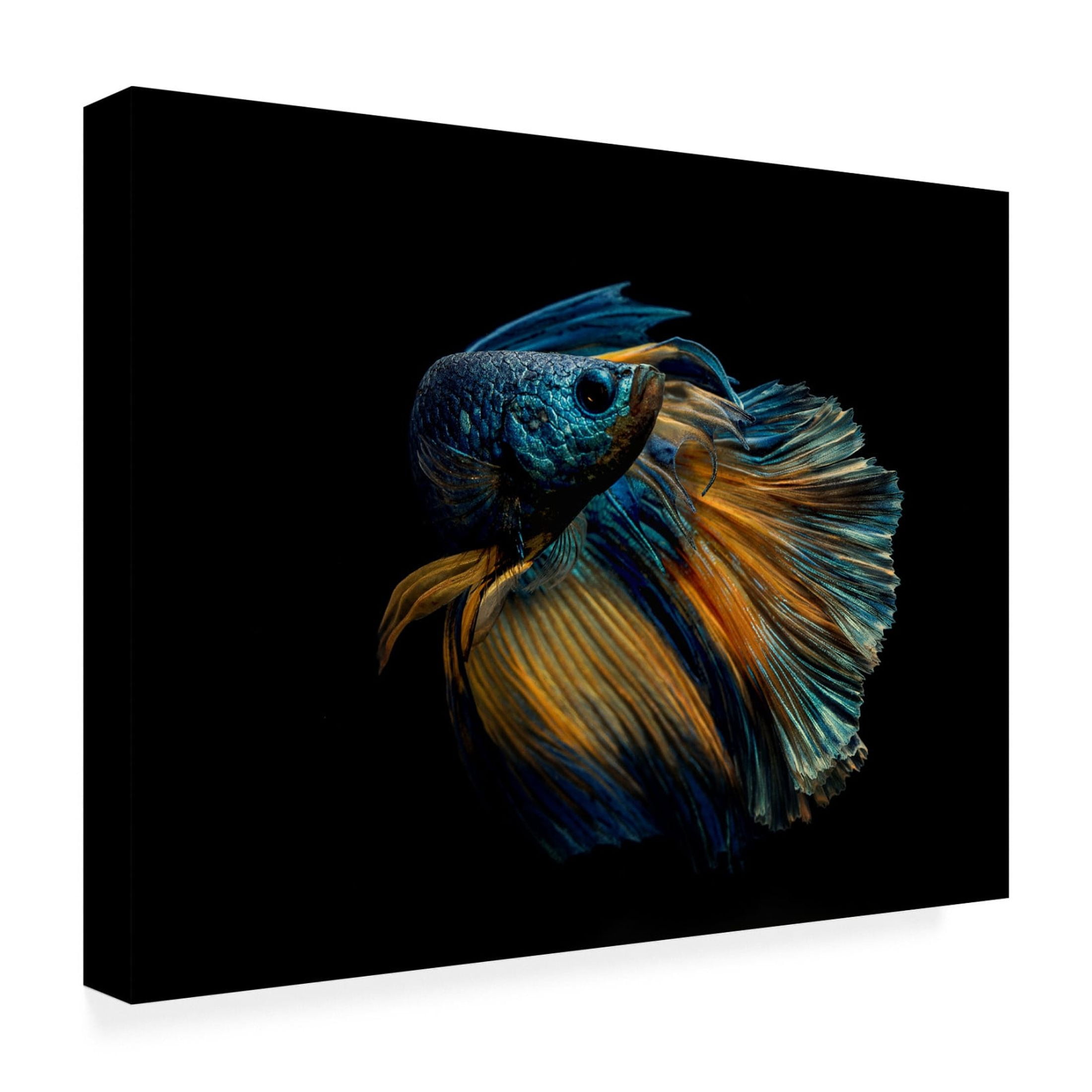 Canvas Wall Art - Andi Halil 'My Dress' Wall Art for Living Room, Bedroom, or Office D?cor by Trademark Fine Art - 24 x 18 Inches
