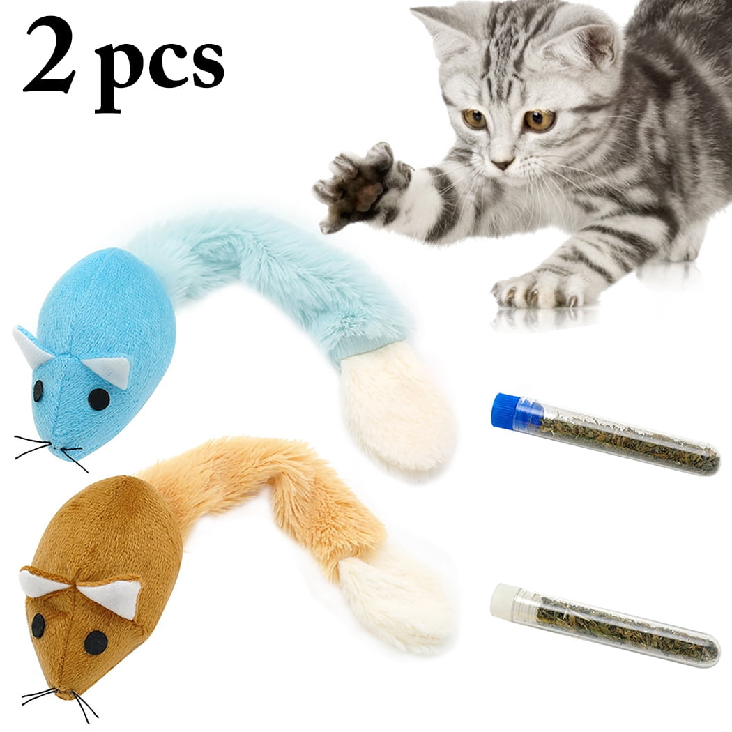 cat chew toys