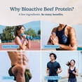 thumbnail image 4 of Proteína en polvo WONDERCOW Beef Isolate con calostro bovino 600 g, 4 of 8