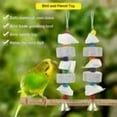 thumbnail image 4 of Bird Beak Trim Cuttlebone Calcium Stone Lava Block Chew Toy Grinding Teeth Natural Minerals with Bell for Parakeet Conure Lovebird Cockatiel Finch Canary Hamster Chinchilla Rabbit 2 Pack, 4 of 4
