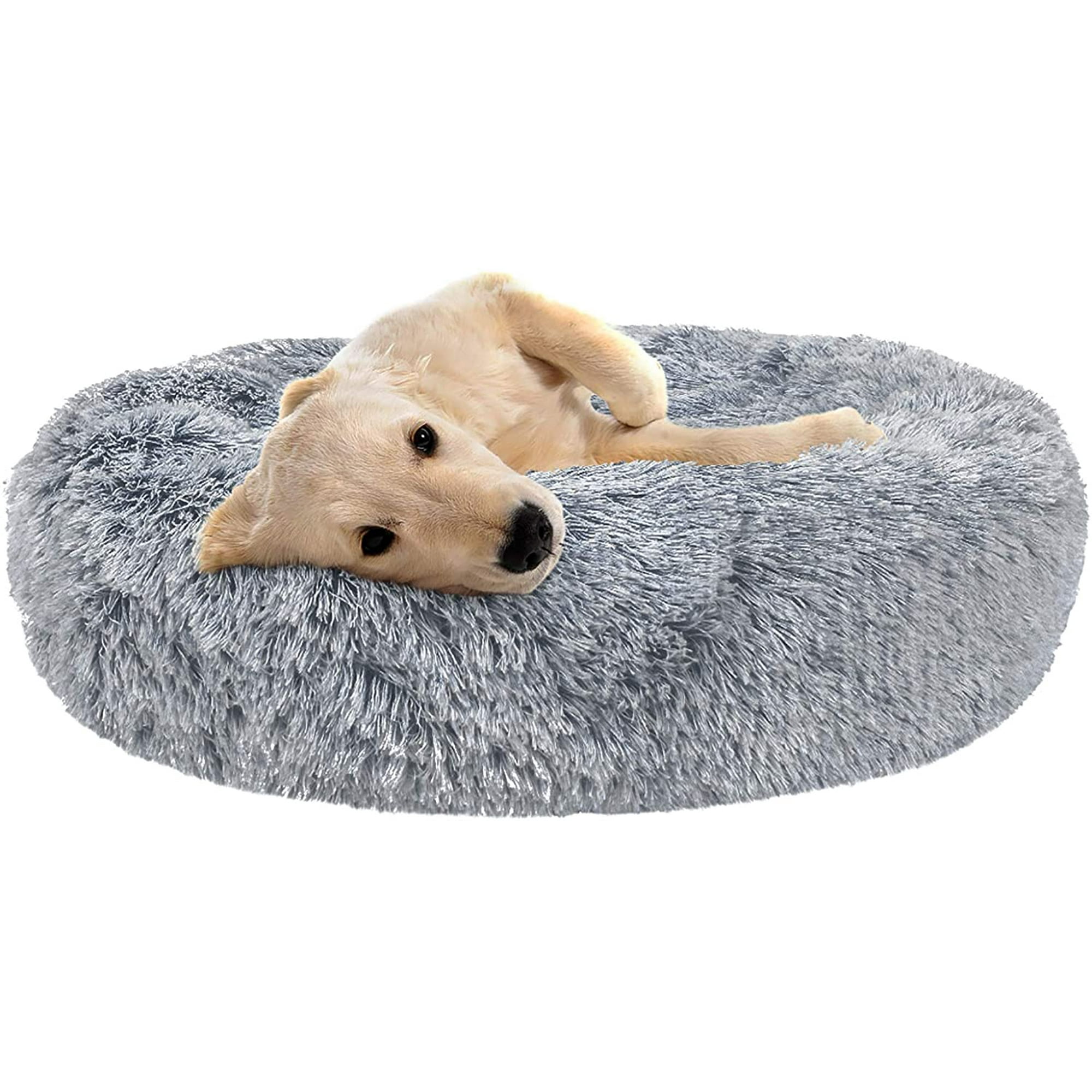 Dog beds for small dogs hot sale