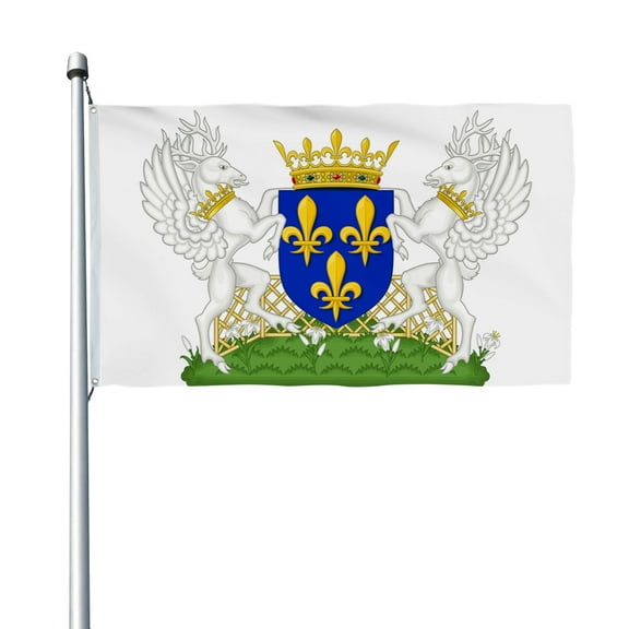 Aihccy Coat of Arms of the King Charles VII of France Flag with Brass Grommets Size - 3x5Ft