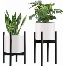 QWORK Support Plantes Métal 5 Niveaux - Étagère Fleurs Intérieur Extérieur Noir