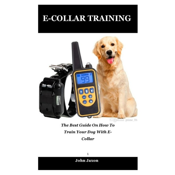 ECollar Training The best guide on how to train your dog with e