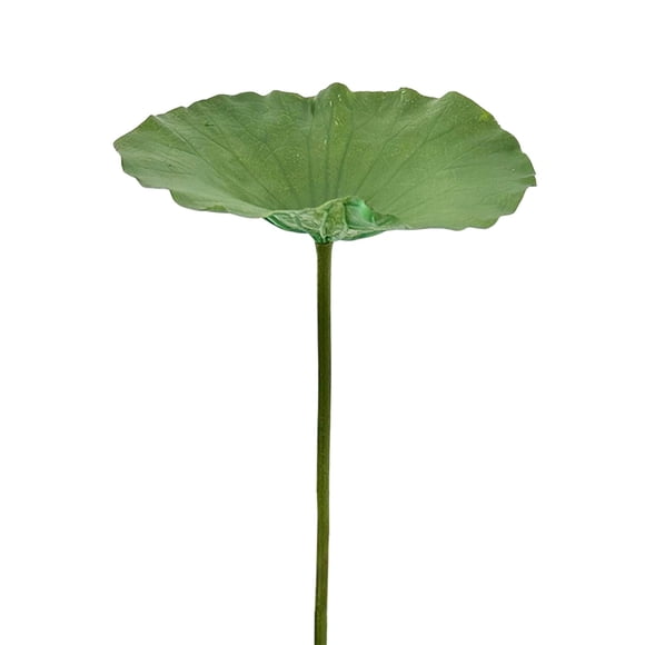 SIYTUAU Arrangement de Fleurs de Lotus Simulation Matériau Plastique Couleur L pour Décoration Maison Bouddha Table à Manger Meuble Tv Aquarium Décoration L