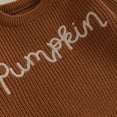 thumbnail image 5 of Okbabeha Toddler Baby Girl Boy Knit Sweater Pumpkin Long Sleeve Pullover Crewneck Sweatshirt Fall Halloween Baby Clothes, 5 of 7