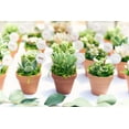thumbnail image 3 of Shop Succulents 4 Inch Rosette Succulent Collection Succulent (Collection of 20), 3 of 4