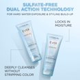 thumbnail image 3 of Set de champú y acondicionador L'Oreal Paris EverPure, 3 of 9