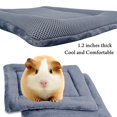 thumbnail image 4 of Cozy and Washable 2-Pack Guinea Pig Bed Pillows with Breathable Air Mesh for Small Animals - Quick-Drying and Easy to Clean Bedding for Rabbits and Hamsters, 4 of 4