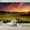 Color 2, variant on Wallpaper Tuscan Countryside Vineyard Rows Stone House Cypress Trees Peel and Stick Wall Murals 100"H x 144"W Removable PVC Wall Paper Self-Adhesive Wall Paintings Art Decor for Bedroom Living Room