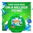 thumbnail image 5 of Gain Flings! Liquid Laundry Detergent Pacs, Blissful Breeze, 81 Count, 5 of 9