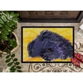 thumbnail image 3 of Carolines Treasures SS8839JMAT Paillasson Pomeranian 24 x 36 Po, 3 of 4