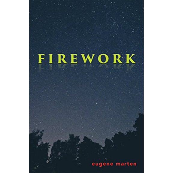 Pre-Owned Firework (Paperback) 0991360869 9780991360864