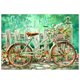 thumbnail image 1 of Cuadros Decorativos Bicicleta 5D DIY diamante pintura bordado artesanía costura hogar decoración regalo Likrtyny embutido en tela, 1 of 6