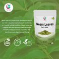 thumbnail image 4 of Hojas de neem de Tea Yogi's Gift, cortadas y tamizadas, 454 g, de forma natural, 4 of 6