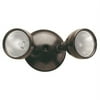 Cooper Lighting LLC Twin Head 2-Light Spot Light