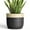 Black, variant on Ordivic 6 inch Black Ceramic Planter with Drainage Hole & Plug, Round Flower Pot for Succulents & Cactus, Indoor Outdoor for Home Office Desk, Housewarming Gift