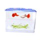 thumbnail image 4 of OUNONA Caja Para Incubar Peces Múltiple Color Para De Supervivencia, 4 of 5