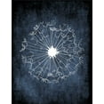 thumbnail image 2 of Robinson, Tamara 26x32 Gold Ornate Wood Framed with Double Matting Museum Art Print Titled - Dandelion on Blue, 2 of 4