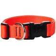 thumbnail image 1 of Collar para perros LupinePet Basics de 1 pulgada, naranja intenso, 12 a 20 pulgadas, ajustable, 1 of 2
