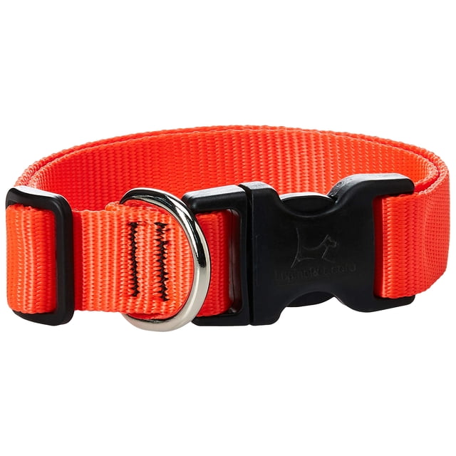Collar para perros LupinePet Basics de 1 pulgada, naranja intenso, 12 a 20 pulgadas, ajustable