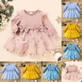 thumbnail image 4 of Odeerbi Niñas Vestido de Manga Larga de Tul Bordado Primavera Otoño Vestido de Algodón Con Lazo 0-3 Años Vestido Infantil de Malla Con Empalme Y Cuello Redondo Y Manga de Encaje, 4 of 4