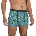 thumbnail image 5 of Men's Boxer Briefs, Cute Limes Leaves Flowers Blue Soft Comfy Mens Underwear Boxer Briefs Breathable With Widen Waist, 5 of 7