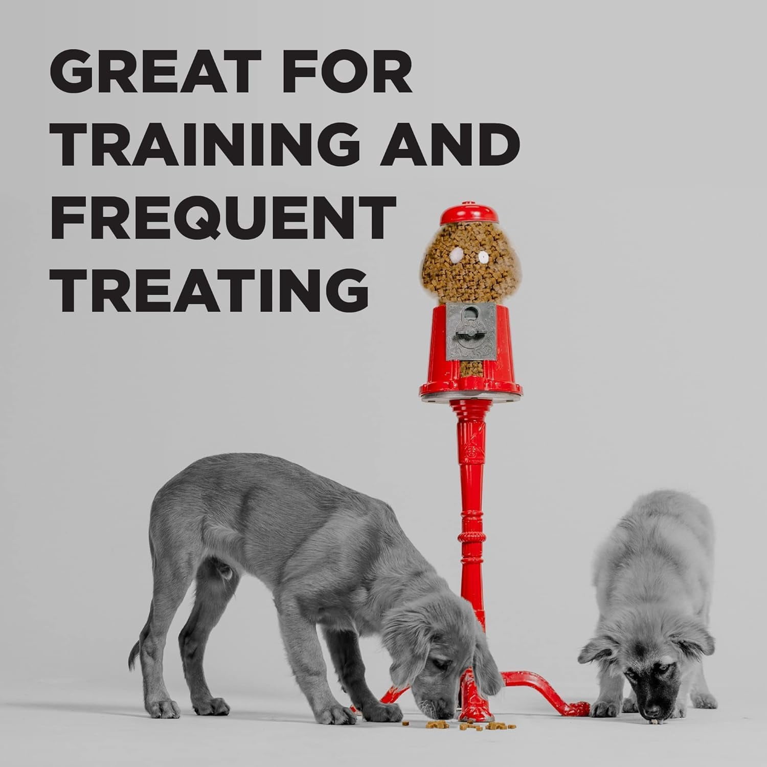 BIXBI Pocket Trainers Dog Treats: (1) Peanut Butter, (1) Bacon and (1) Chicken (3 Bags Total, 6 Oz Each)