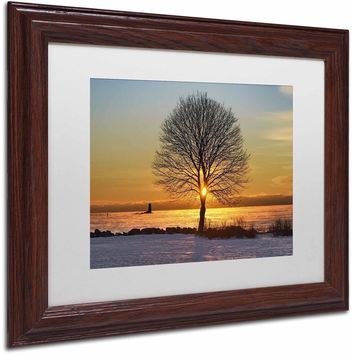 Trademark Fine Art 'Eye of the Tree' Canvas Art by Michael Blanchette Photography, White Matte, Wood Frame