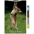 thumbnail image 1 of Famous Kitten Hang In There Poster Wall Poster, 22.375" x 34", 1 of 5
