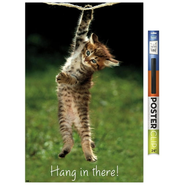 Célèbre chaton accroché là-bas Poster