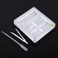 Acrylic Nest Formicarium Transparent Studio Ant Habitat educational kit ...