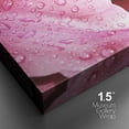 thumbnail image 4 of PixonSign Canvas Print Wall Art Pink Flower Petal Close-Up with Water Droplets Floral Wilderness Photography Realism Modern Colorful Multicolor Dark for Living Room, Bedroom, Office - 32"x48", 4 of 5