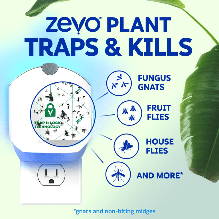 Zevo Plant Flying Insect Indoor Fly Trap: Easy & Mess-Free, Use Near Indoor  House Plants - Light Trap Catches & Kills Fungus Gnats, House Flies, & Fruit  Flies (1 Plug in Device